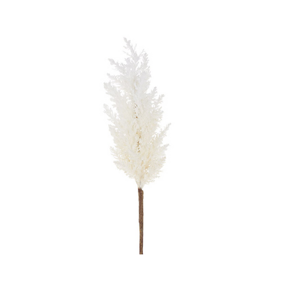 Pampas Grass Spray