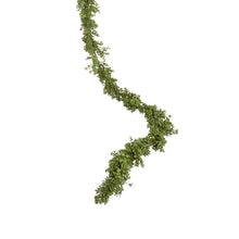  6' Boxwood Garland