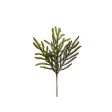  Balsam Fir Pick