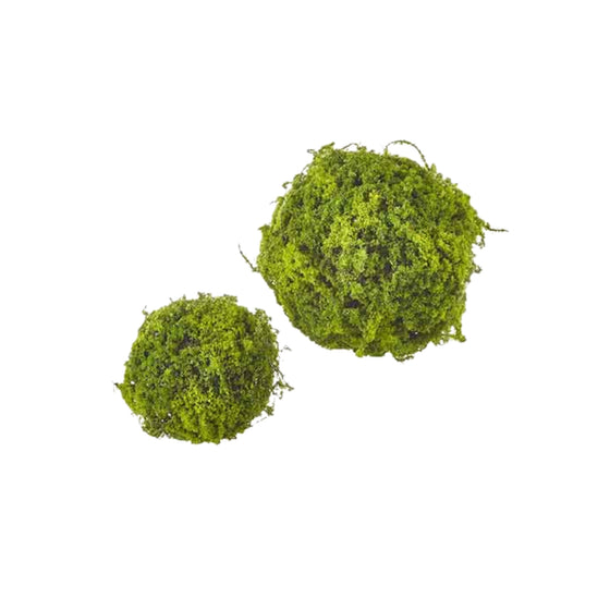 Moss Ball - Set of 2