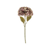 Faded Purple Hydrangea Stem