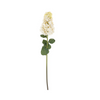 White Hydrangea Paniculata Stem