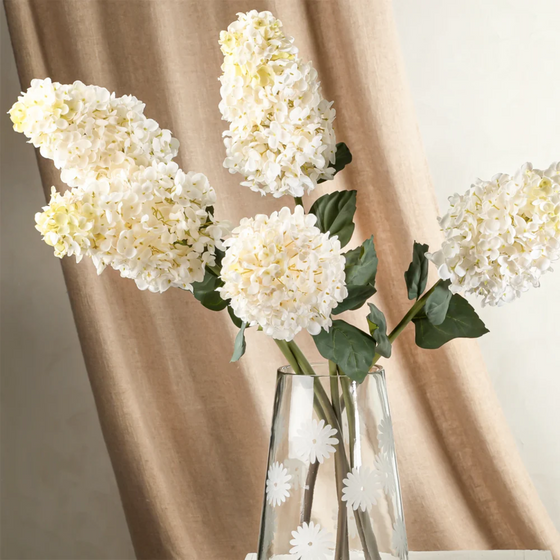 White Hydrangea Paniculata Stem