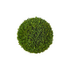 Sedum Ball