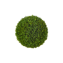  Sedum Ball