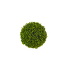 Sedum Ball