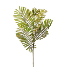  33" Fern Spray